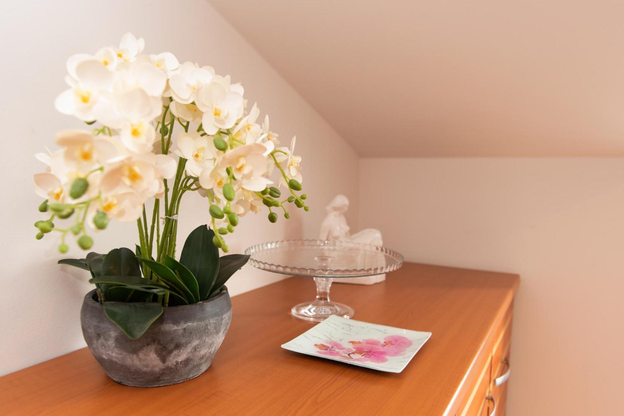 Apartments Andrijana Сплит Экстерьер фото